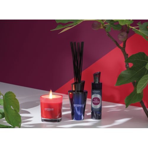 Tyčinkový difuzér 150ml - Figuier & Tonka — fotka 2