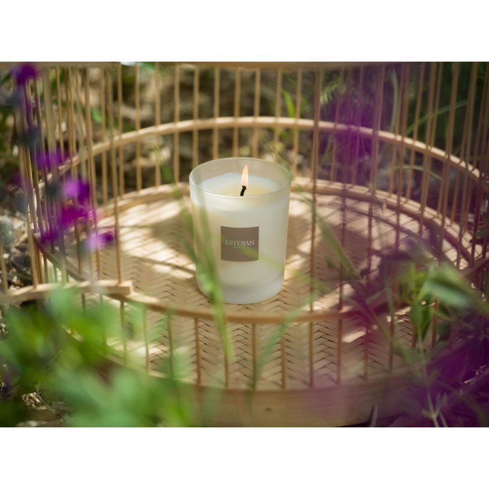 Sviečka v skle 180g - Jasmin d´été — fotka 4