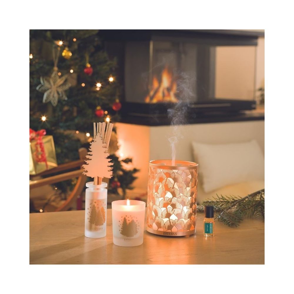 Tyčinkový difuzér 100ml - Exquisite Fir — fotka 2